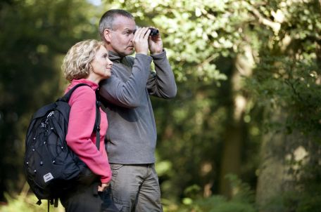 Observación de Aves para Principiantes